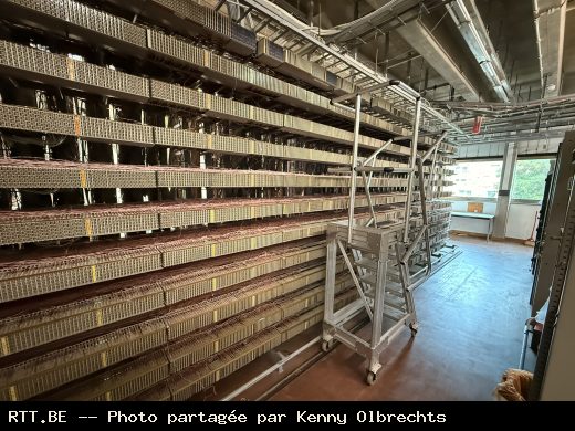 Central téléphonique — Kessel-Lo